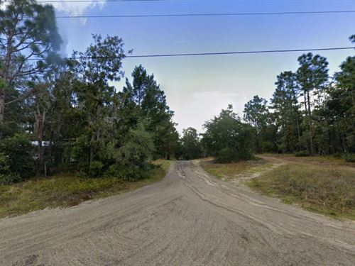 Corner Lot in Florahome Florida : Florahome : Putnam County : Florida