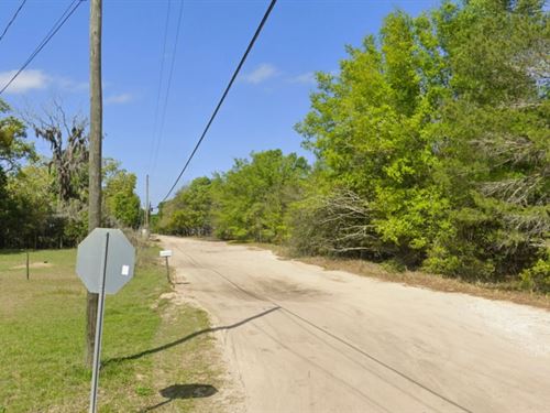 Third Acre in Keystone Heights FL : Keystone Heights : Clay County : Florida