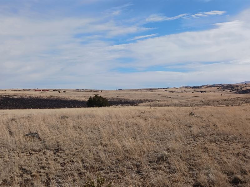 1.01 Acres in Concho Lakeland : Concho : Apache County : Arizona