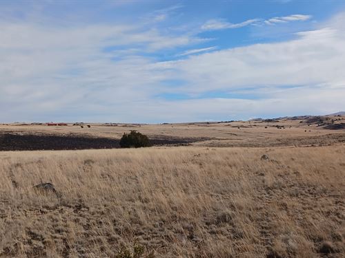 1.01 Acres in Concho Lakeland : Concho : Apache County : Arizona