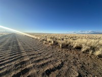 Living Under Mount Blanca : Antelope Ct : Alamosa County : Colorado