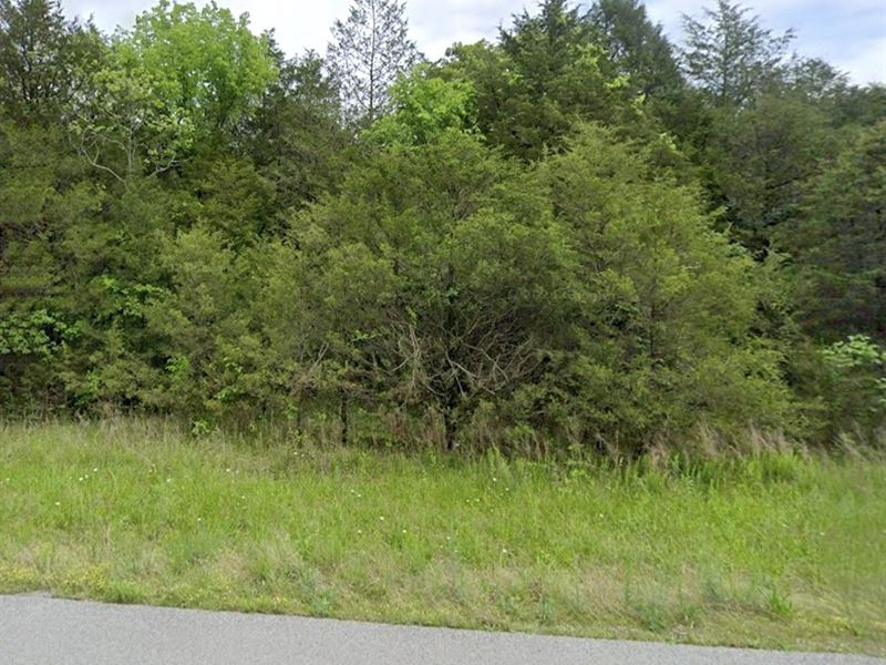 Buildable Land with Power & Fiber : Horseshoe Bend : Izard County : Arkansas