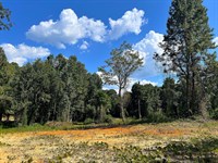 29-134 Red Hill Lot : Eclectic : Elmore County : Alabama