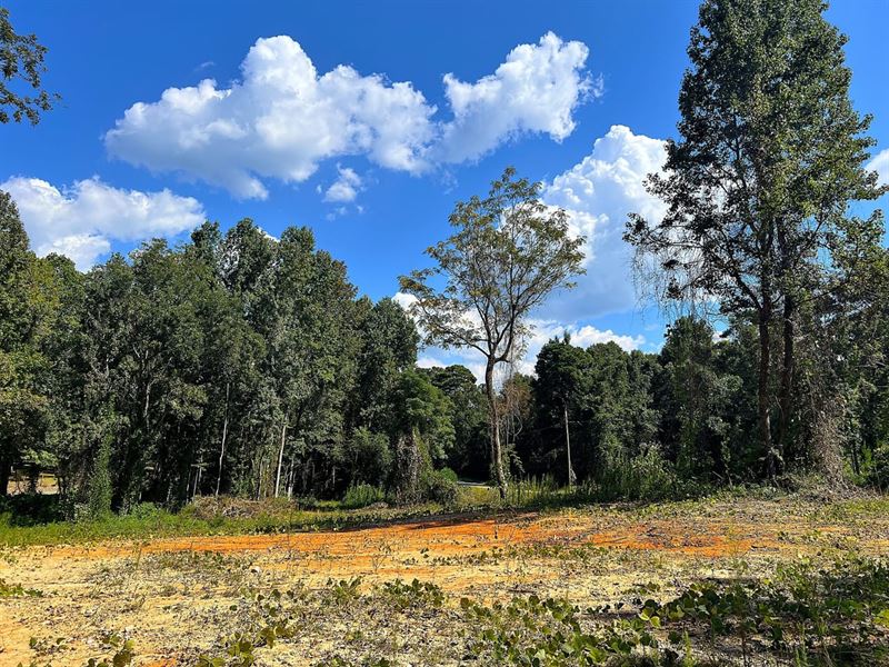 29-134 Red Hill Lot : Eclectic : Elmore County : Alabama