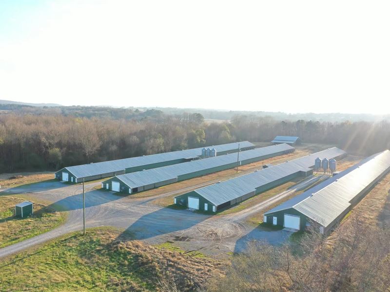 Culwell Broiler Farm : Blountsville : Blount County : Alabama