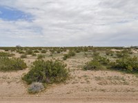 RV Paradise at a Steal : Dateland : Yuma County : Arizona