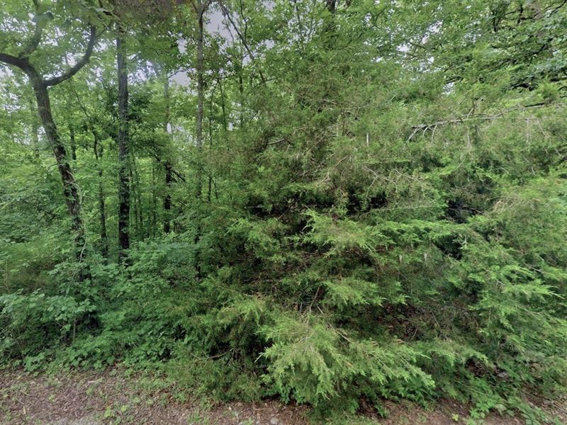 Buildable Land Near Parks & Lakes : Williford : Sharp County : Arkansas