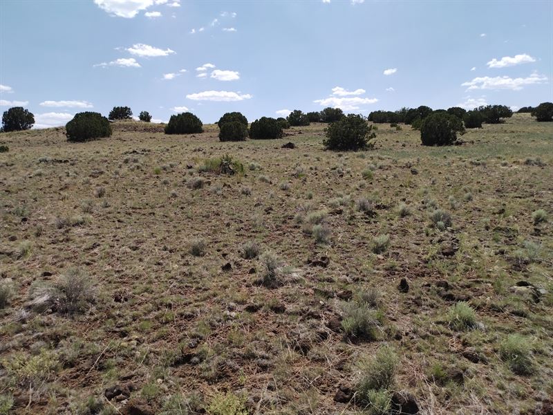 Off-Grid Escape in Concho Valley : Concho : Apache County : Arizona