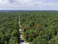 2 Adjacent Lots Near Parks and Lake : Horseshoe Bend : Izard County : Arkansas