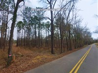 Dream Mobile Home Spot : Mathews : Montgomery County : Alabama