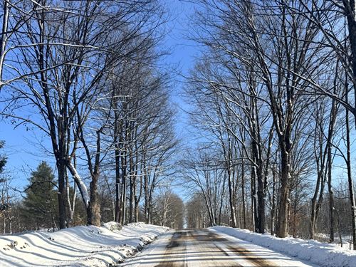 Camden Woodlands with Trail Access : Camden : Oneida County : New York