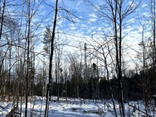 Build-Ready Woodlands : Camden : Oneida County : New York