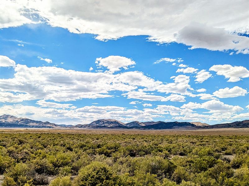 Nevada Freedom Awaits : Montello : Elko County : Nevada