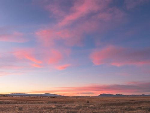 Affordable Land Near I-25 & Us-60 : Las Nutrias : Socorro County : New Mexico