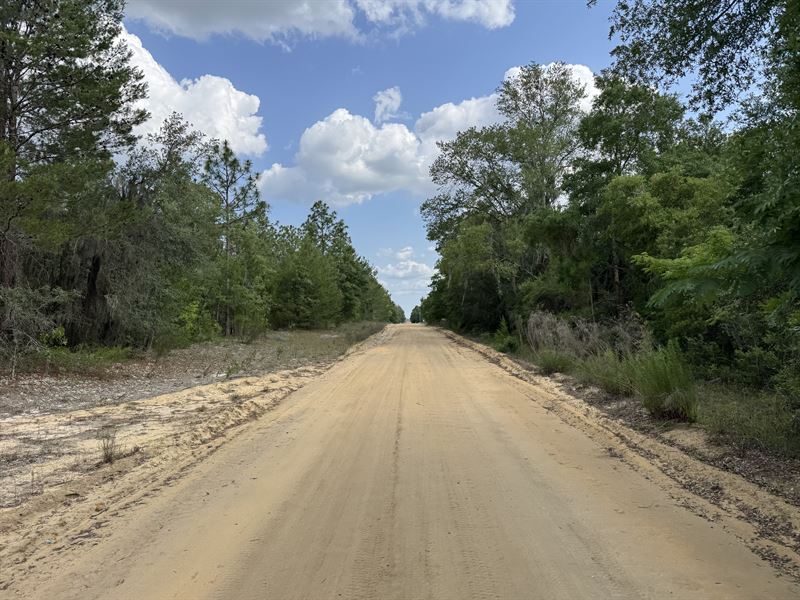 Private Lot Close to Lake Grandin : Interlachen : Putnam County : Florida