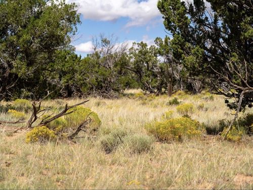 5 Acre Off-Grid Desert Paradise : Saint Johns : Apache County : Arizona