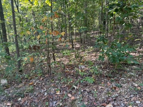 Flat Ground, Private Setting : Williford : Sharp County : Arkansas
