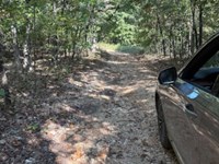 Hidden in The Woods : Williford : Sharp County : Arkansas