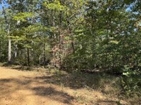 Kentucky Lake Weekend Escape : New Concord : Calloway County : Kentucky