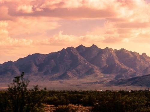 Prime Corner Lot with Stunning View : Deming : Luna County : New Mexico