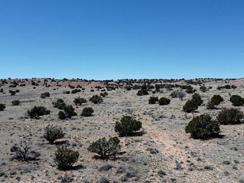Peace Space and Freedom : Sanders : Apache County : Arizona