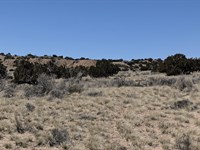 Peace Space and Freedom : Sanders : Apache County : Arizona