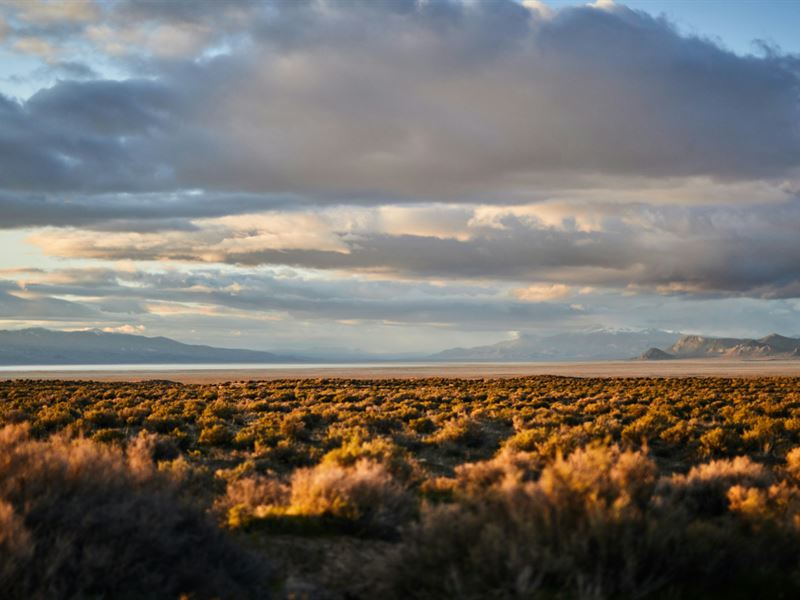 Unrestricted Lot Near Albuquerque : Las Nutrias : Socorro County : New Mexico