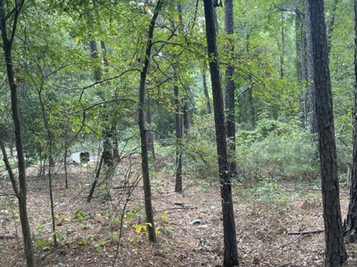 $6/Day to Own TX Land, Near Lake : Harleton : Harrison County : Texas