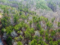 Turkey Pen Road Tract 5, 4.6 : Cragford : Clay County : Alabama