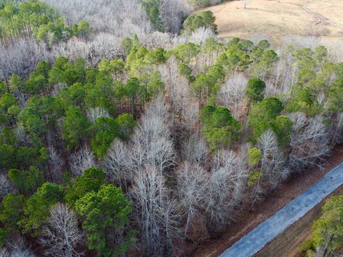 Turkey Pen Road Tract 4, 5 Acre : Cragford : Clay County : Alabama