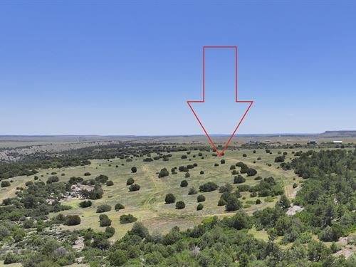 $137.93/Mo, Residential Lot : Colorado City : Pueblo County : Colorado