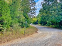 Corner Lot, Half Mile to Pier : Horseshoe Bend : Izard County : Arkansas