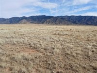 Land Built for Ranch Life : Belen : Valencia County : New Mexico