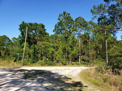The Perfect Corner Lot $137/Mo : Georgetown : Putnam County : Florida