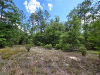 .23 Ac Residential Land for Sale : Interlachen : Putnam County : Florida