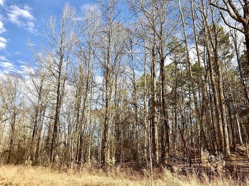 Residential Land for Sale : Saulsbury : Hardeman County : Tennessee