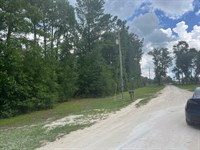 Near Madison Blue Spring, Boat Ramp : Live Oak : Suwannee County : Florida