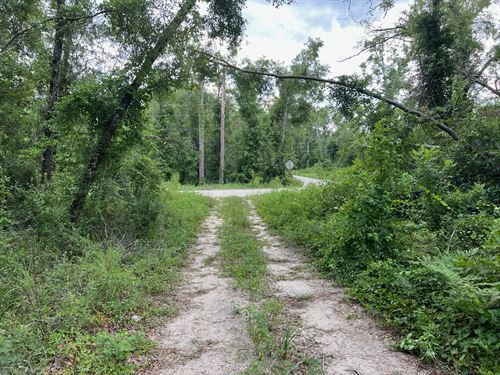 Build, Camp, or Stay Near The River : Live Oak : Suwannee County : Florida