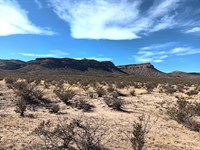Buildable Flat Land Near El Paso TX : Texas City : Culberson County : Texas