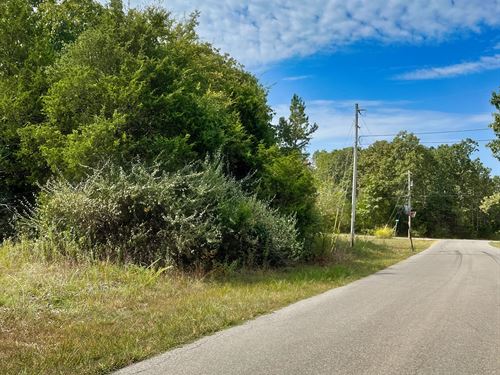 Golf, Friends, and Freedom : Horseshoe Bend : Izard County : Arkansas