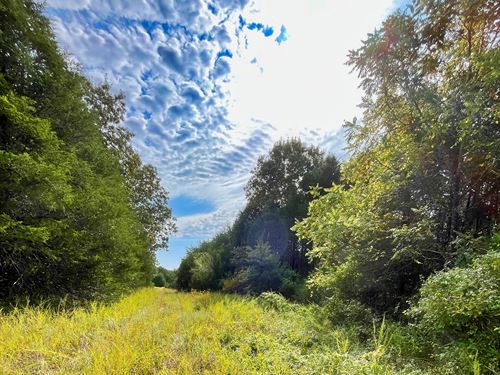 Peace, Privacy on Over Half Acre : Horseshoe Bend : Izard County : Arkansas