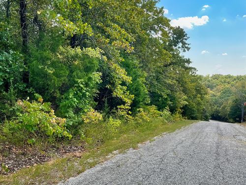 Walk to The Lake & Golf Course : Horseshoe Bend : Izard County : Arkansas