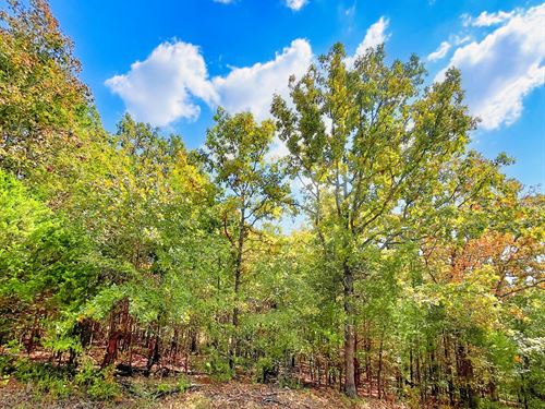 Ready for Memories to Begin : Horseshoe Bend : Izard County : Arkansas