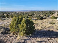 Smart Buy for Quiet Living : Concho : Apache County : Arizona