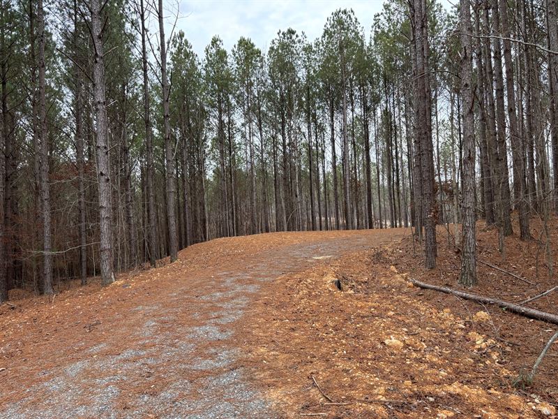 3.9 Acres on Spring Creek Chero : Centre : Cherokee County : Alabama