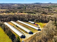 Wing Breeder Farm : Vale : Catawba County : North Carolina