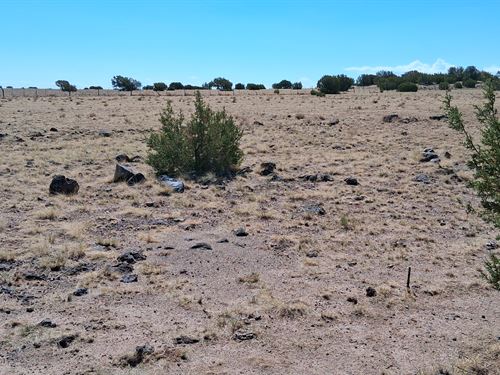 Own Desert Off-Grid Lot with View : Concho : Apache County : Arizona