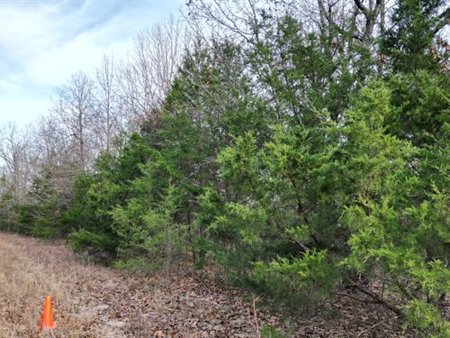 .31 Acres Near Crown Lake AR : Horseshoe Bend : Izard County : Arkansas