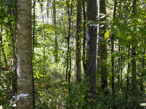 Own Today, Financing Available : Clifton : Perry County : Tennessee