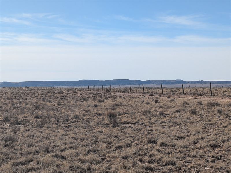 Arizona's Timeless Beauty : Petrified Forest Natl Pk : Apache County : Arizona